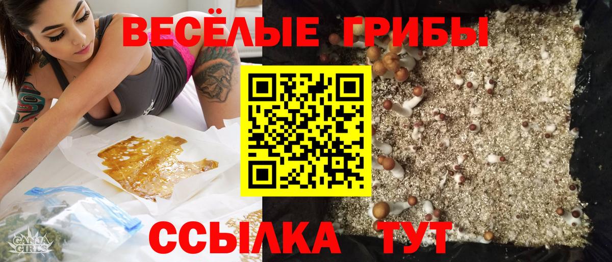 Псилоцибиновые грибы прущие грибы Бугуруслан